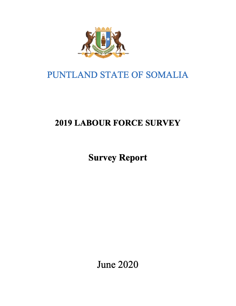 Puntland Labour Force Survey 2019