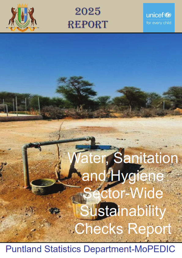 Water, Sanitation and Hygiene  Sector-Wide  Sustainability Checks Report cover